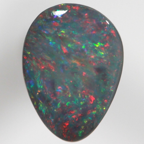 SOLID BLACK OPAL Red multicolour, Floral Harlequin pattern